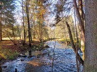 Cyklo naučná stezka Křížem krážem Žďárskými vrchy - Novoměstský okruh (foto 8)
