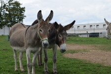 Centrum EDEN (foto 4)