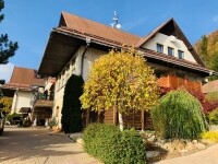 Hotel Podlesí (foto 7)