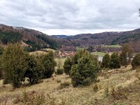 Národní přírodní památka Švařec (foto 5)