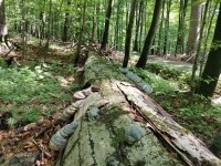 Naučná stezka Žákova hora (foto 6)