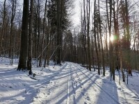 Národní přírodní rezervace Žákova hora (foto 10)