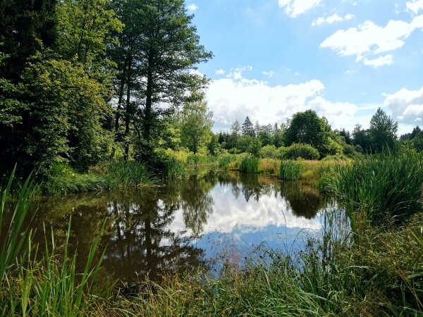 Přírodní zahrada Svratka (foto 1)