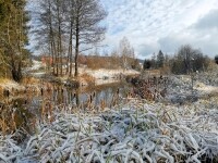 Přírodní zahrada Svratka (foto 4)