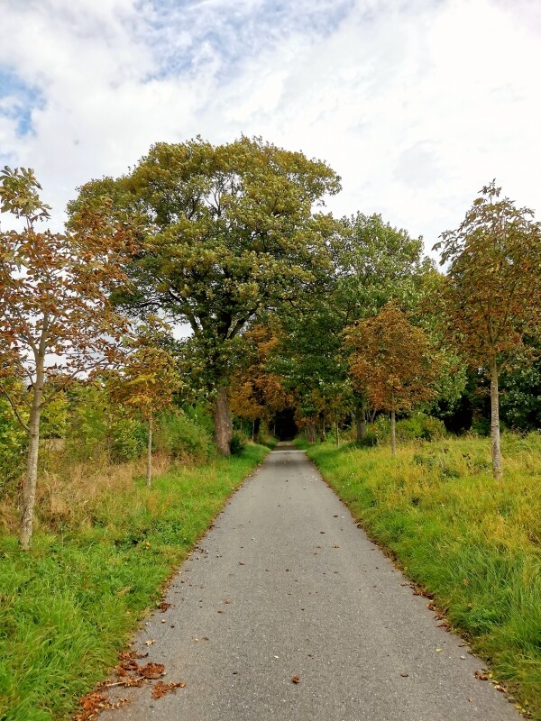 Lesopark Templ (foto 1)