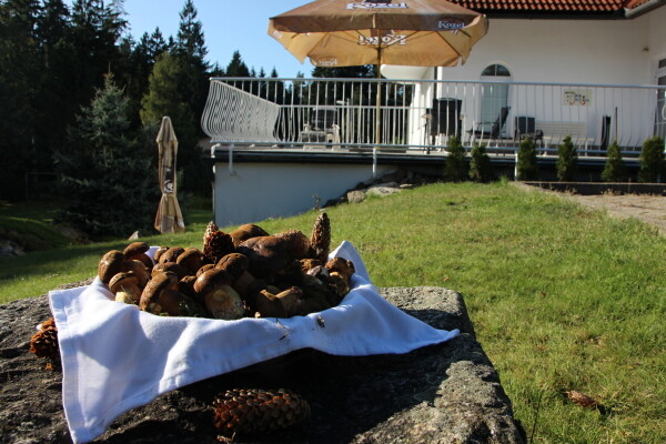 Restaurace Penzion Najdek (foto 1)