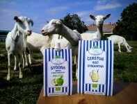 THE FARMER’S TRAIL FROM HROTOVICE TO JAROMĚŘICE: SUNSHINE IN THE FRUITS OF THE VYSOČINA HIGHLANDS (photo 6)