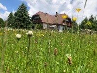 Penzion Harvánek (foto 8)