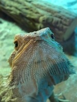 Nová Říše Zookoutek (foto 5)