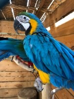 Nová Říše Zookoutek (foto 6)