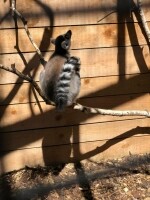 Nová Říše Zookoutek (foto 7)