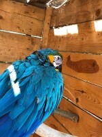 Nová Říše Zookoutek (foto 10)