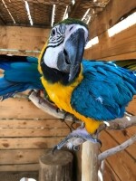 Nová Říše Zookoutek (foto 11)