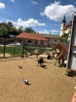 Nová Říše Zookoutek (foto 14)