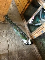 Nová Říše Zookoutek (foto 16)