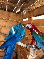 Nová Říše Zookoutek (foto 17)