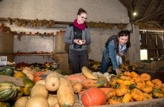 Statek u Pipků – Dýňový svět (foto 2)