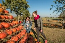 Statek u Pipků – Dýňový svět (foto 3)