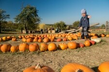 Statek u Pipků – Dýňový svět (foto 4)