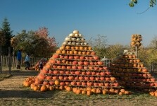 Statek u Pipků – Dýňový svět (foto 6)