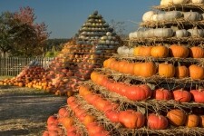 Statek u Pipků – Dýňový svět (foto 8)