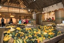 Statek u Pipků – Dýňový svět (foto 9)