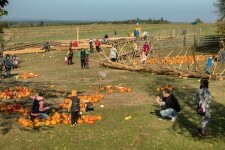 Statek u Pipků – Dýňový svět (foto 11)