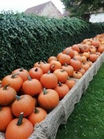 Statek u Pipků – Dýňový svět (foto 14)