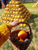 Statek u Pipků – Dýňový svět (foto 15)