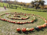 Statek u Pipků – Dýňový svět (foto 16)