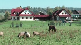 Farma u Vojtků (foto 2)