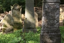 THE BEAUTIFUL NATURE FROM PACOV TO KÁMEN CASTLE (photo 2)