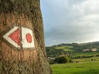 Jezdecká stezka Dukovany – Javorek (foto 4)