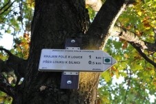 Jezdecká stezka Litohošť – Sosnový les (foto 3)