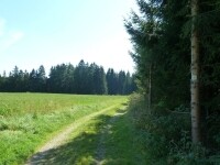 Jezdecká stezka Nad Otínem – Na Kříži (foto 3)