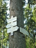 Jezdecká stezka Světlá pod Javořicí – Dukovany (foto 6)