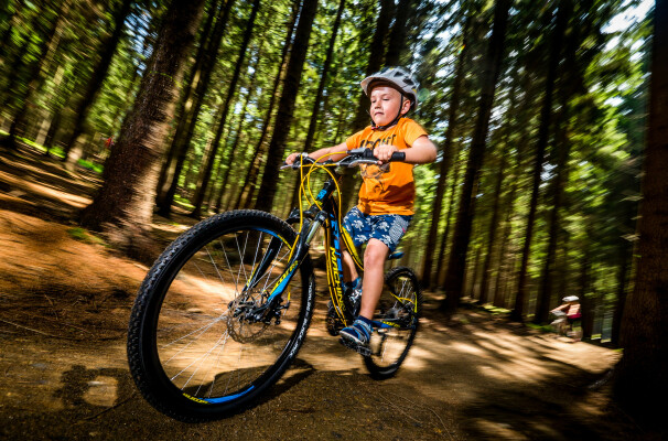 Cyklo aréna Vysočina – dětské traily a pumptrack (foto 1)