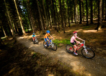 Cyklo aréna Vysočina – dětské traily a pumptrack (foto 2)