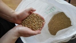 Měšťanský pivovar Trojan (foto 4)