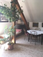 Chata u řeky Svratky (foto 6)