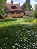 Chata u řeky Svratky (foto 10)