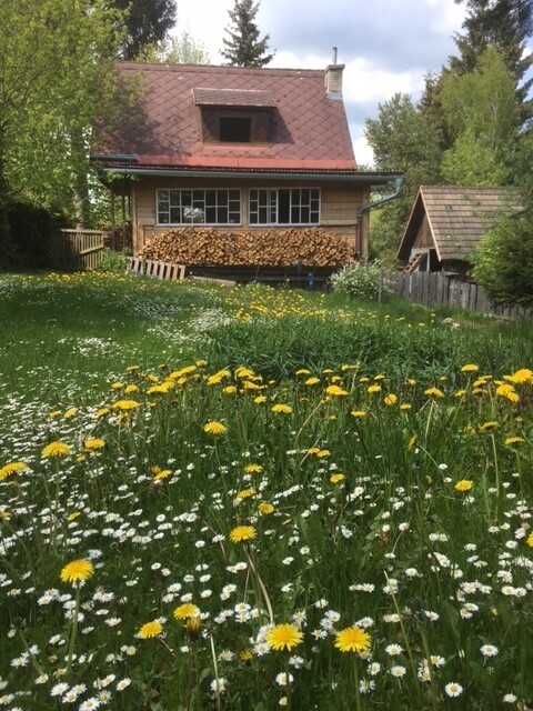 Chata u řeky Svratky (foto 1)