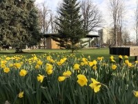 Park Stromovka v Humpolci (foto 2)