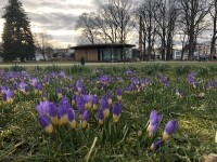 Park Stromovka v Humpolci (foto 3)