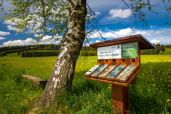 Naučná stezka Naše stromy (foto 1)