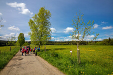 Naučná stezka Naše stromy (foto 2)