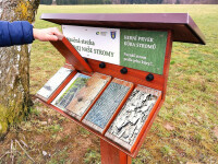 Naučná stezka Naše stromy (foto 4)