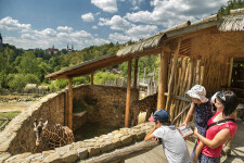 ČESKOMORAVSKÁ ROUTE: FROM TIMBERED COTTAGES TO RENAISSANCE TOWNS (photo 11)