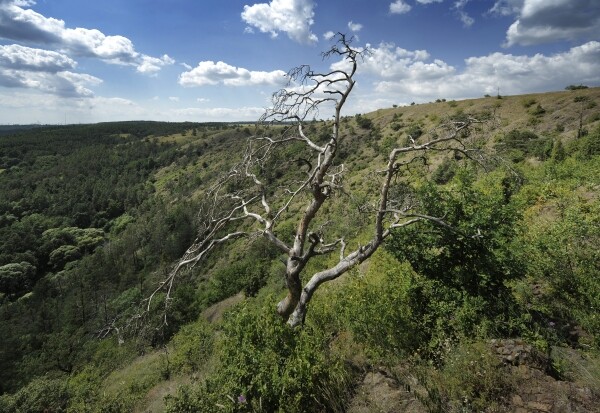 Naučná stezka Mohelenská hadcová step (foto 1)