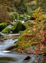 Naučná stezka Údolím Doubravy (foto 2)